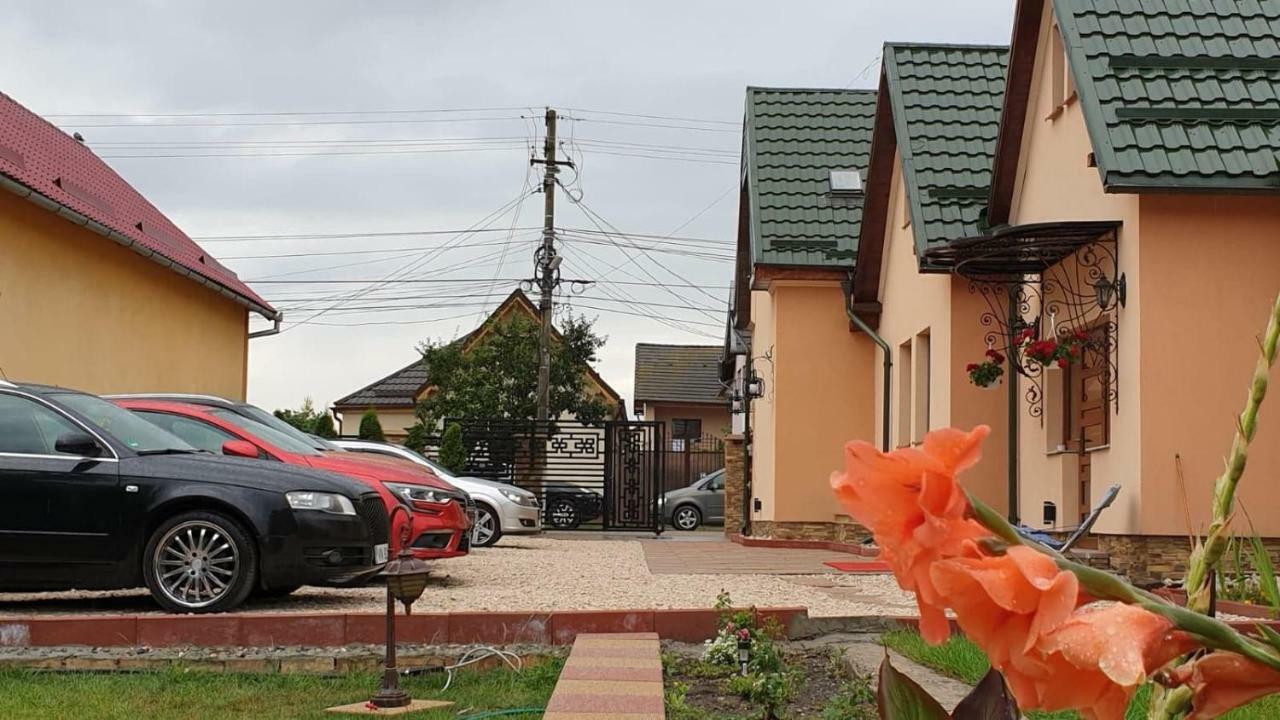 Pensiunea Brazi Турда Екстер'єр фото