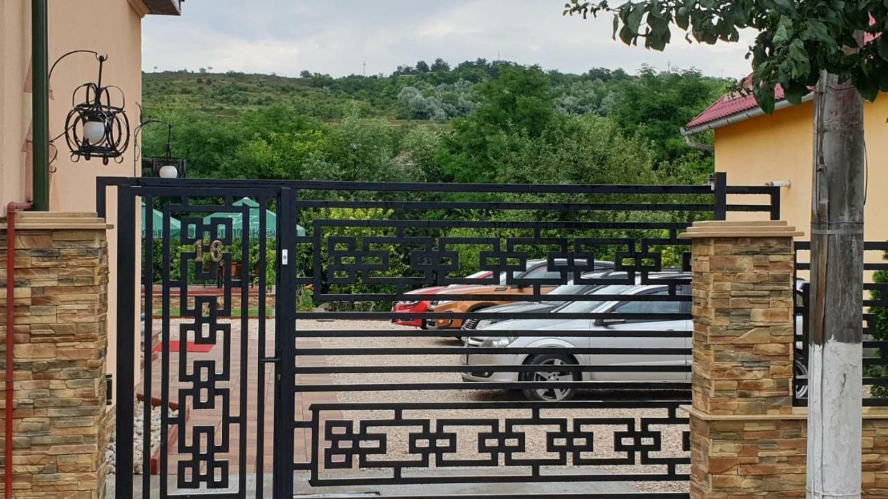Pensiunea Brazi Турда Екстер'єр фото